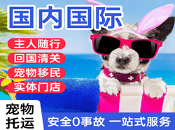 义勒力特机场邮寄国际宠物托运 【国